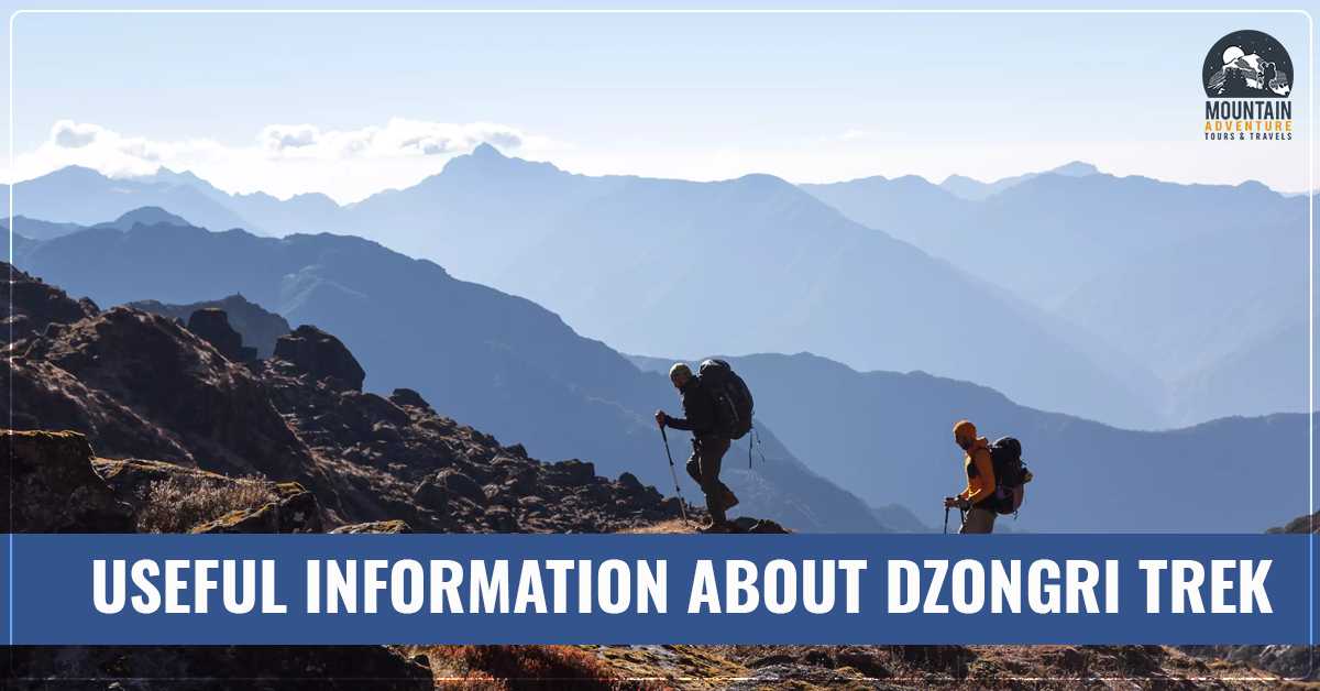 Useful Information About Dzongri Trek