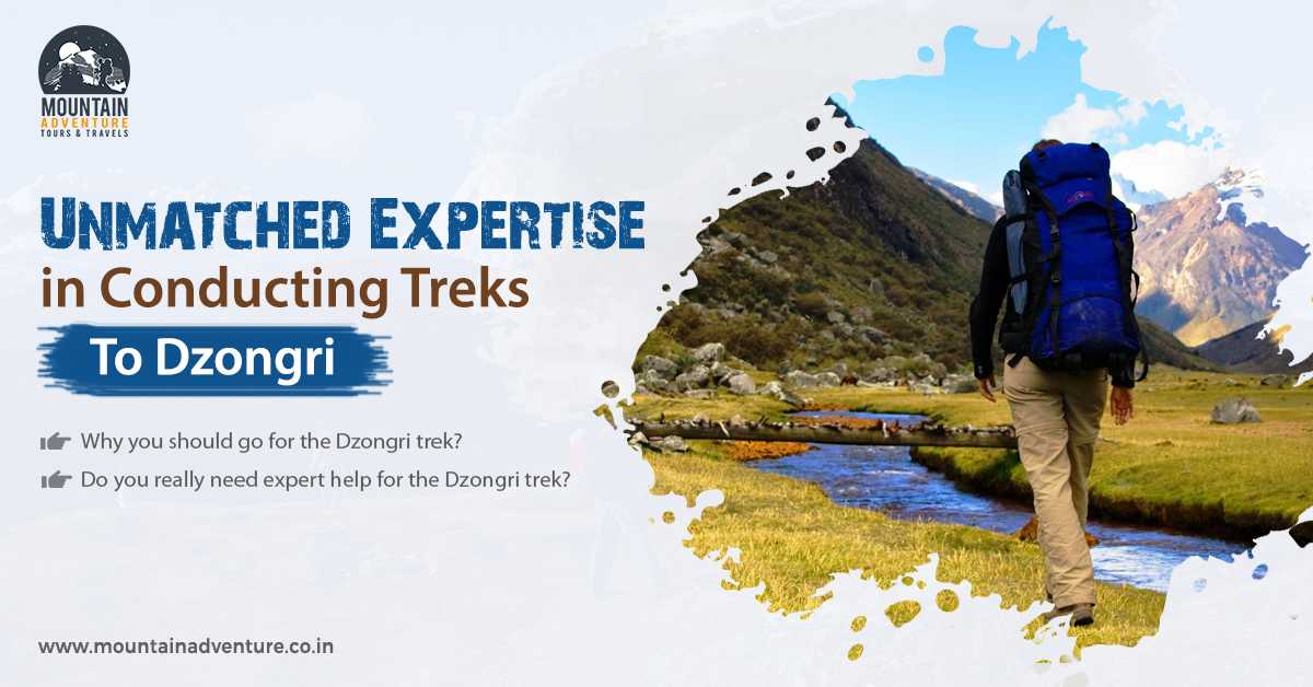Unmatched Expertise in Conducting Treks To Dzongri