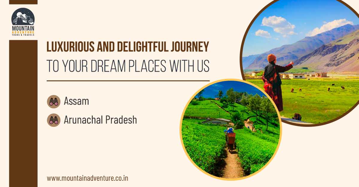 Luxurious And Delightful Journey To Your Dream Places With Us