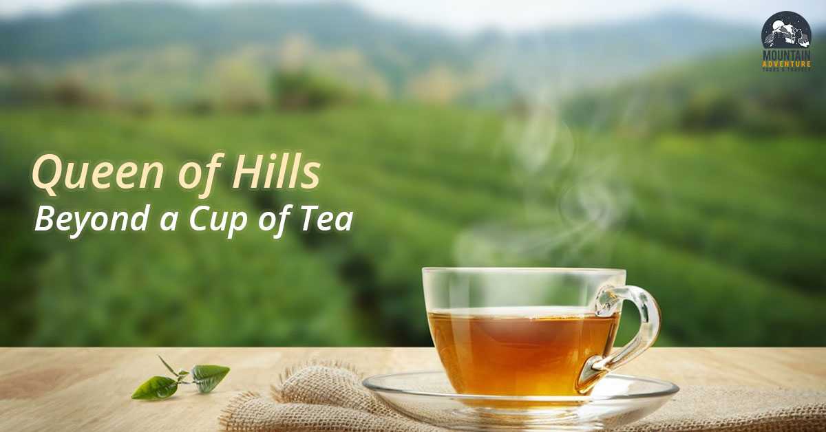 Queen Of Hills- Beyond A Cup Of Tea