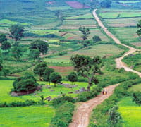 ARAKU VALLEY, ANDHRA PRADESH