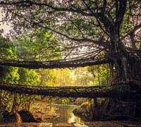 CHERRAPUNJI AND MAWSYNRAM, MEGHALAYA