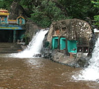 CHIKMAGALUR, KARNATAKA