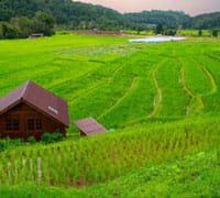 KOHIMA, NAGALAND