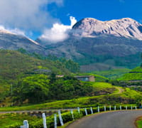 MUNNAR, KERALA