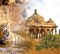 Ranthambore, Rajasthan