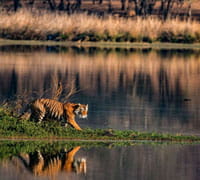 SUNDARBAN, WEST BENGAL