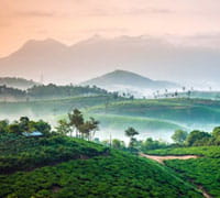 WAYANAD, KERALA