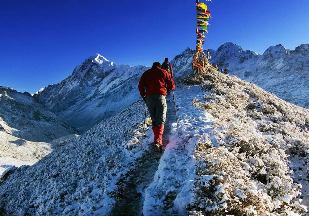 Sikkim Dzongri Trek & Tour